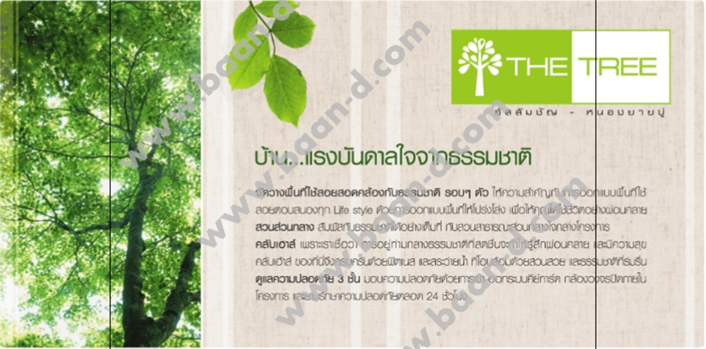[บ้านชลบุรี] เดอะทรี บ้านเดี่ยว  โซนอัสสัมชัญ-หนองยายบู่
