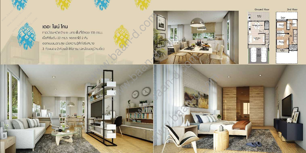 [บ้านชลบุรี] เดอะไพน์โคน (The Pine Cone) ทาวน์โฮม ถ.ข้าวหลาม-บางแสน