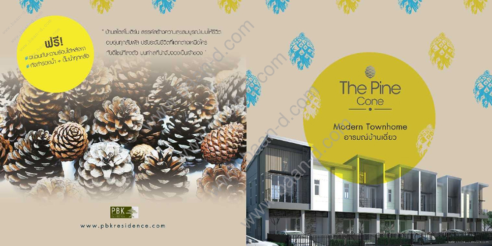 [บ้านชลบุรี] เดอะไพน์โคน (The Pine Cone) ทาวน์โฮม ถ.ข้าวหลาม-บางแสน