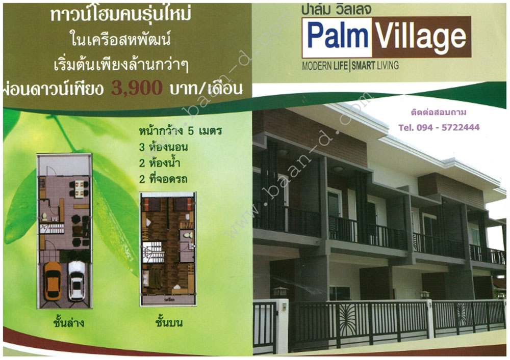 Palm Village_001