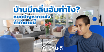 บ้านมีกลิ่นอับทำยังไง? หมดปัญหากวนใจแน่ถ้าทำตามนี้