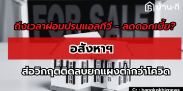 โอกาสอสังหาฯตอบโจทย์ชีวิตคนโสดปล่อยเช่า- คอนโดเลี้ยงสัตว์ได้มาแรง